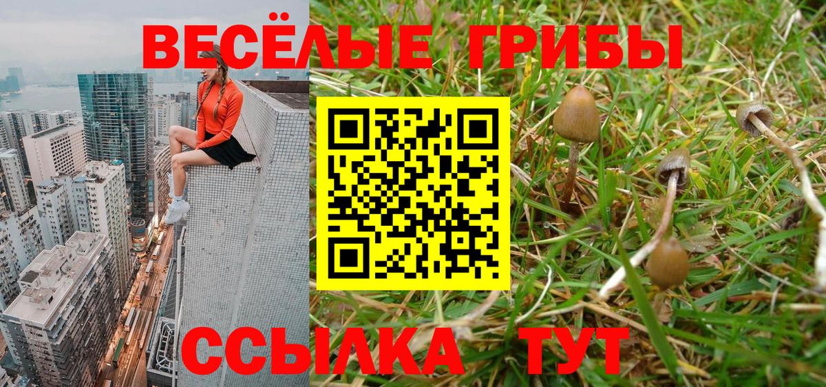 Псилоцибиновые грибы Magic Shrooms  Вход с VPN  Избербаш 